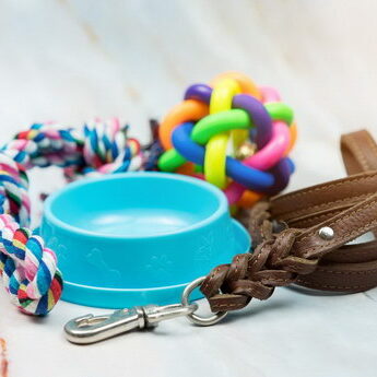 Pet,Supplies,Concept.,Pet,Leather,Leashes,,Brush,And,Rubber,Toy.