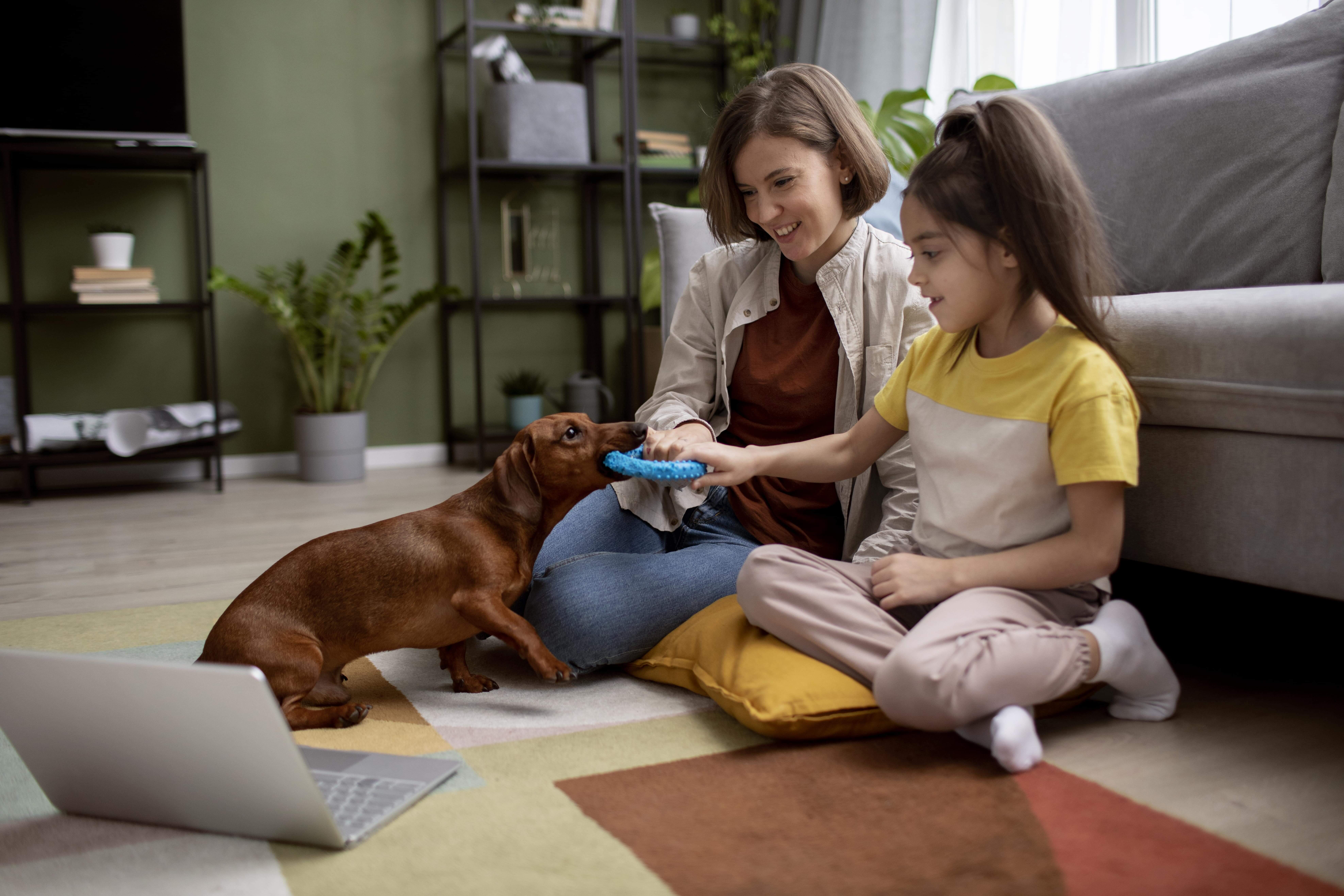 BEST TECH SOLUTIONS FOR THE PET TRAINING IN DUBAI