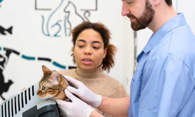 What Services Are Included in a Full Grooming Session for Cats and Dogs at PW Pets?