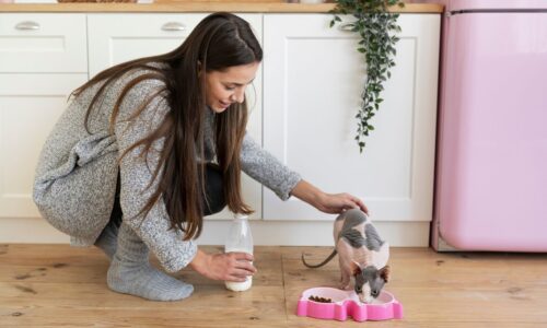 Top Nutrition Mistakes New Puppy & Kitten Owners in Dubai Make