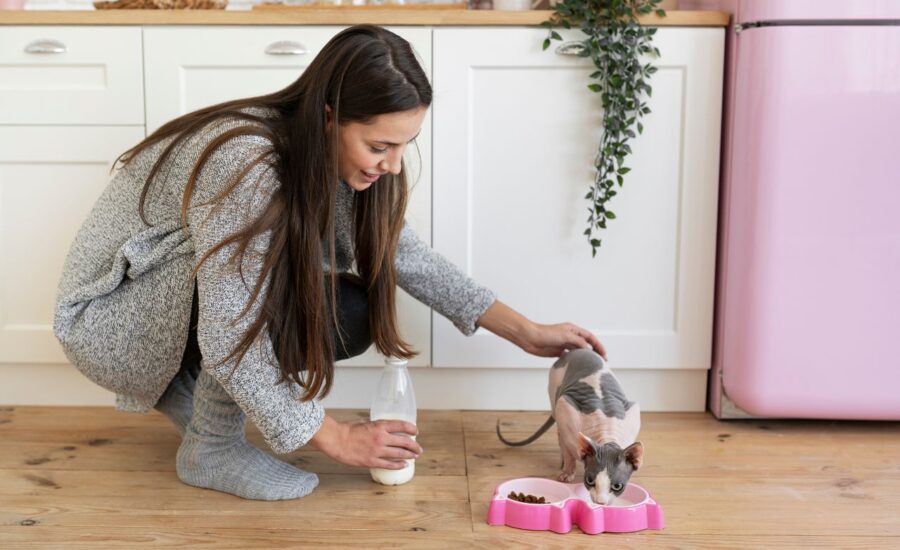 Top Nutrition Mistakes New Puppy & Kitten Owners in Dubai Make