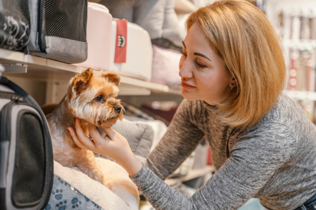 Choosing the Best Pet Boarding Facility – Check List