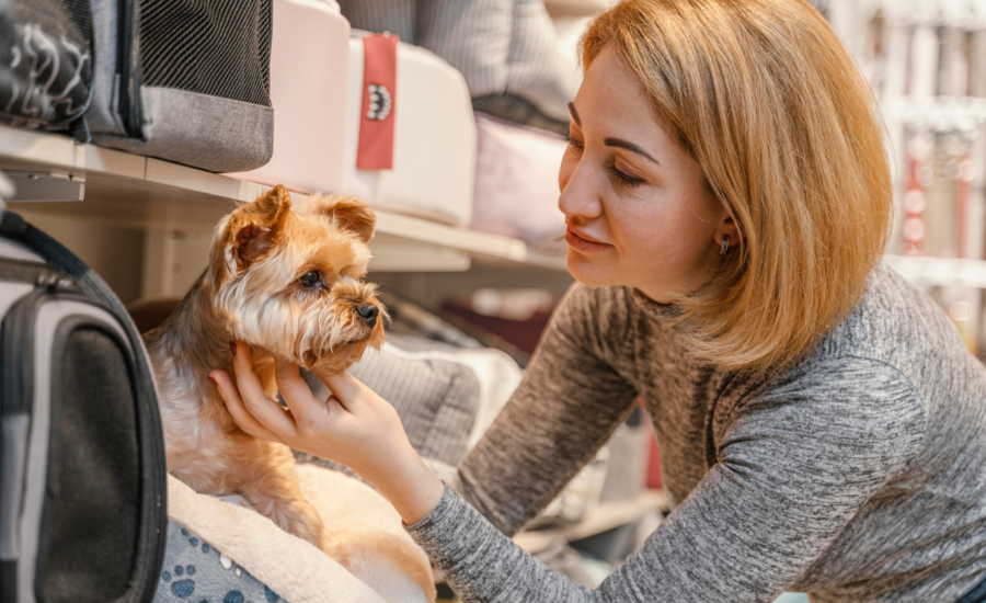 Choosing the Best Pet Boarding Facility