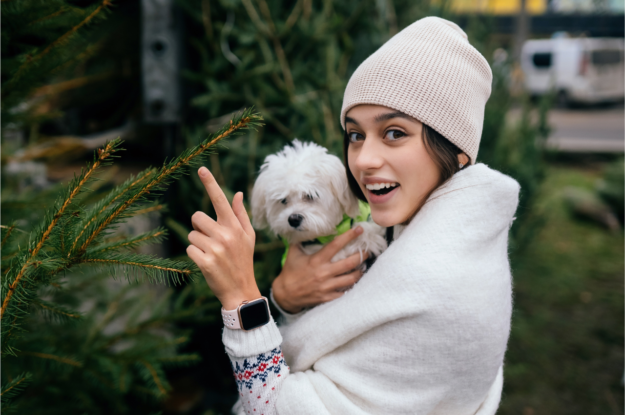 Winter Guide on How to Keep Dogs and Cats Warm, Healthy, and Safe