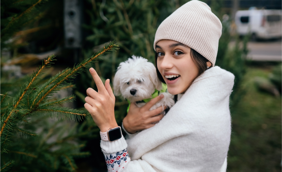 Winter Guide on How to Keep Dogs and Cats Warm, Healthy, and Safe