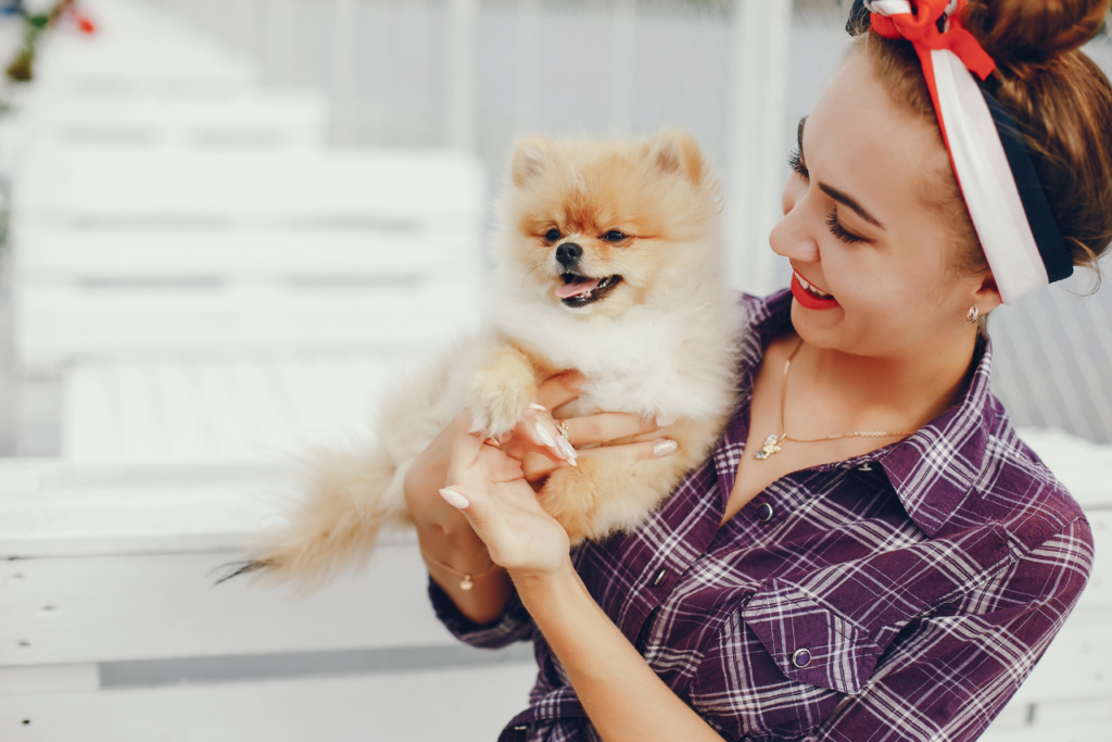Pet Grooming in Dubai |