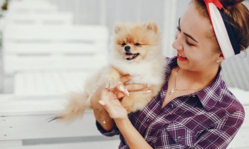 Pet Grooming Guide: Why Regular Grooming Is Essential for Your Pet’s Health