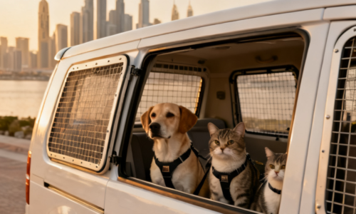 Pet Taxi Services in Dubai: Safe Travel Tips for Your Pets