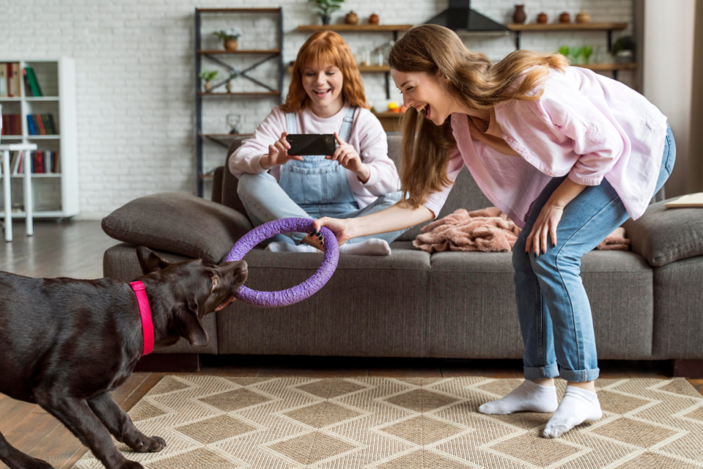 The Ultimate Guide for Picking Pet Toys