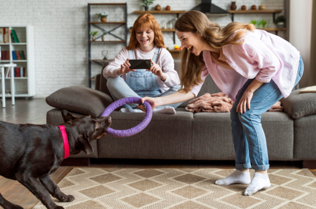 The Ultimate Guide for Picking Pet Toys